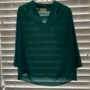 Long Sleeve Sheer Top
